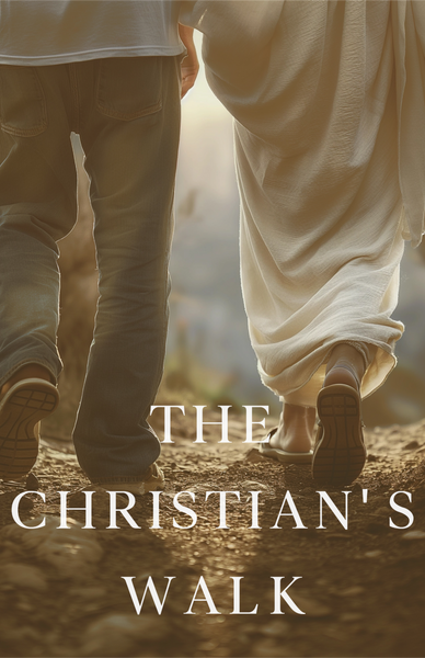The Christian's Walk (Book 2)